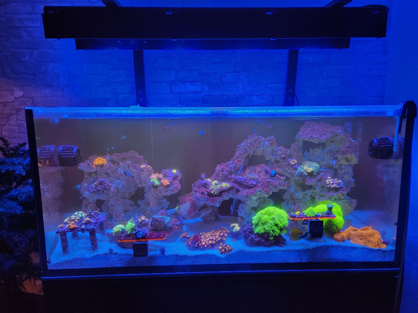 ReefBreeders Photon V2 Pro Light Shade Set