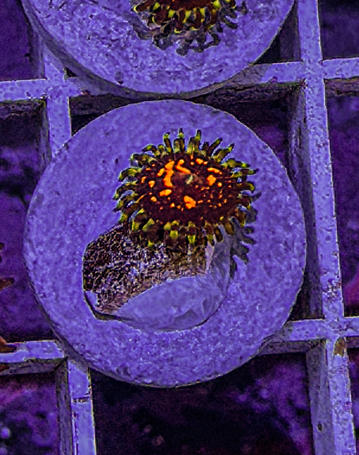 Ultimate Space Monster Zoas #4 (WYSIWYG)