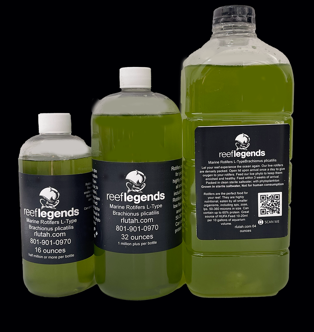12 Species PhytoBlend & Rotifers