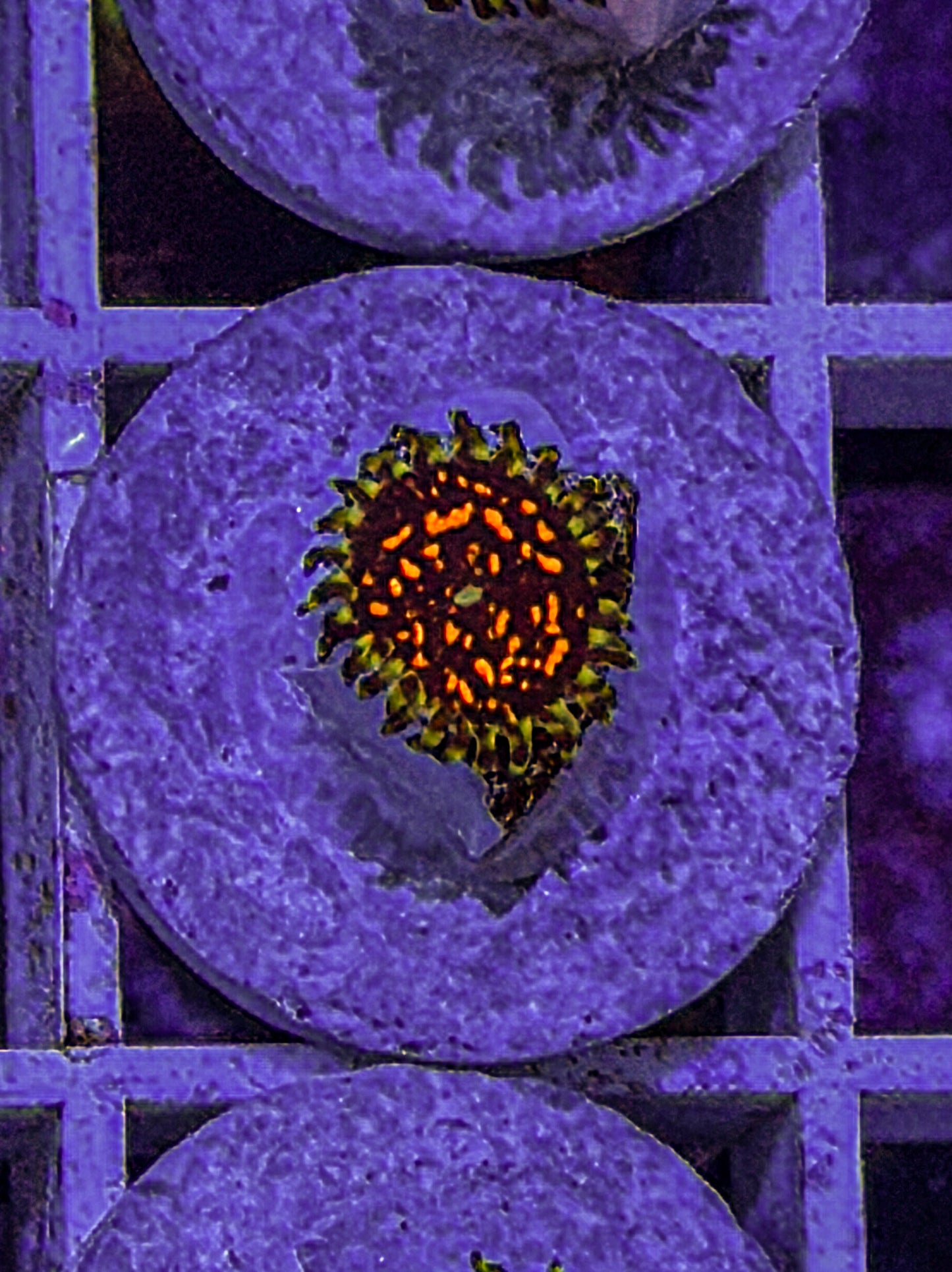 Ultimate Space Monster Zoas #2 (WYSIWYG)