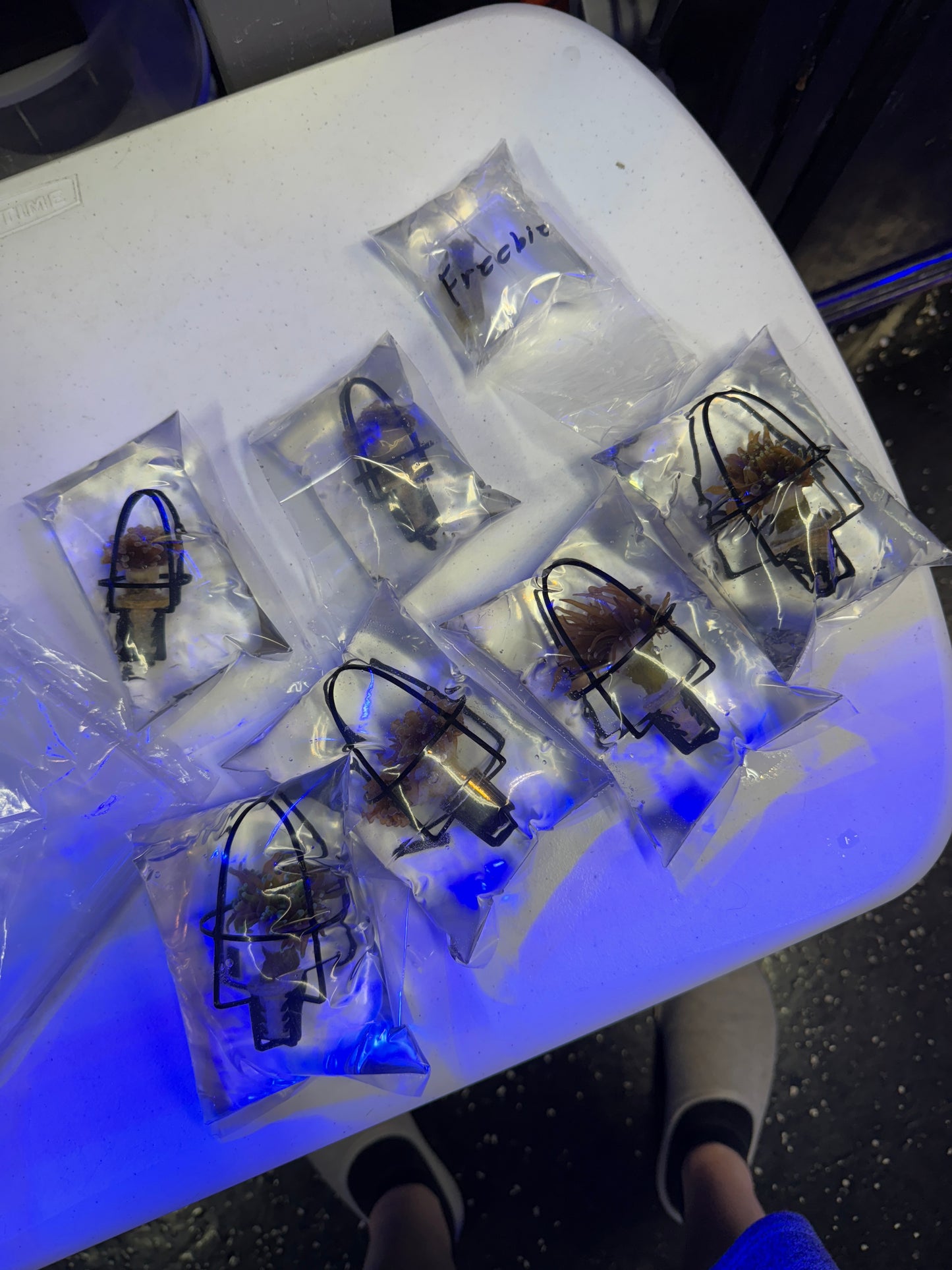 1x1” Coral cage’s for shipping 20 pieces
