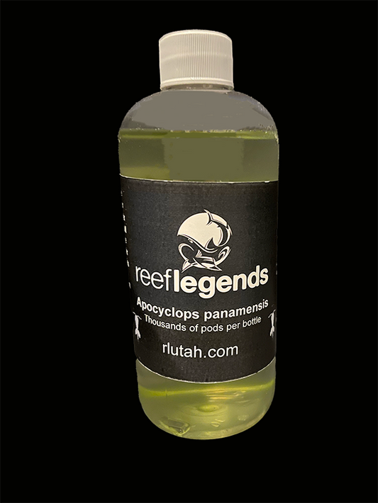 Apocyclops panamensis