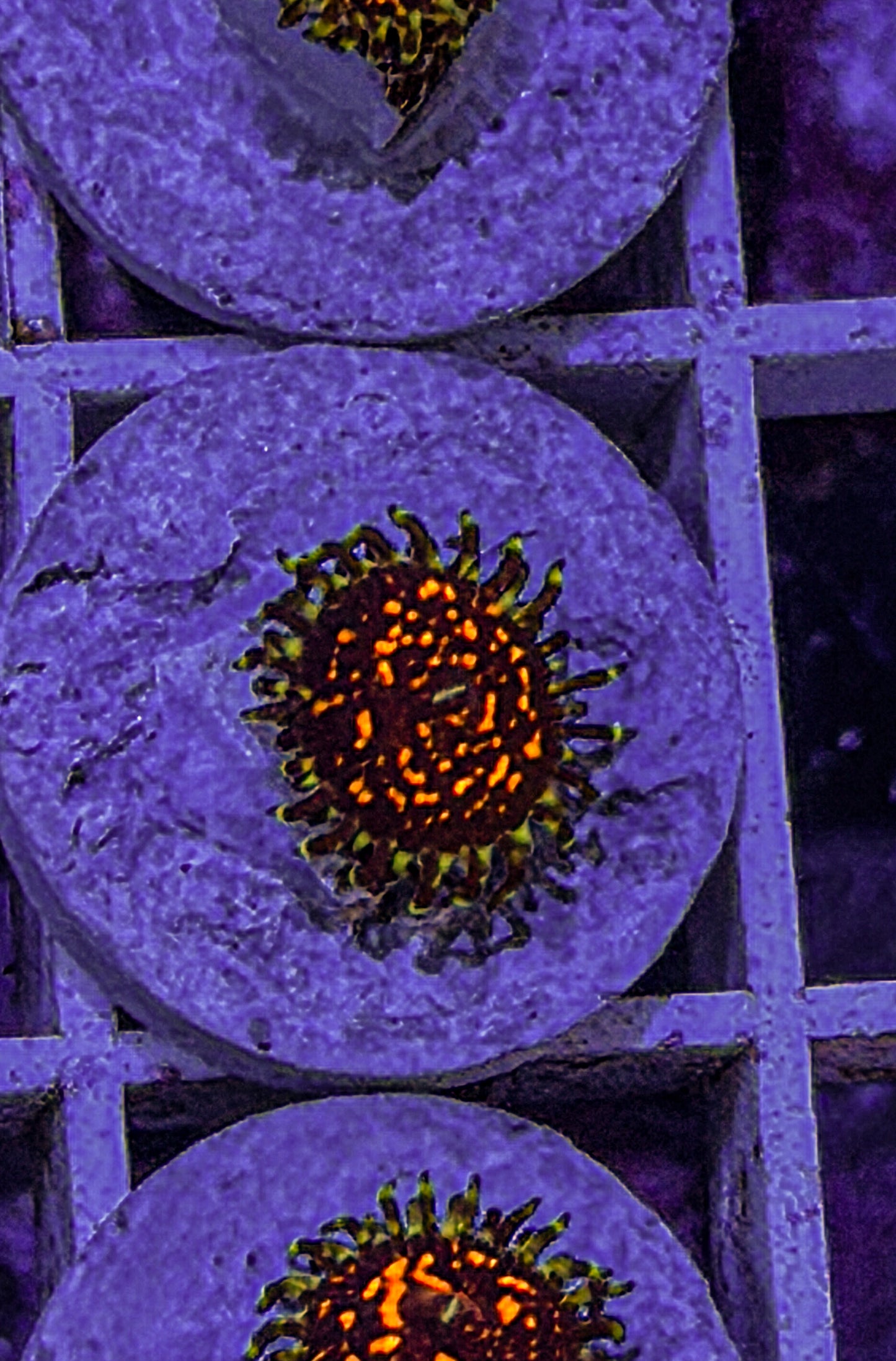 Ultimate Space Monster Zoas #3 (WYSIWYG)