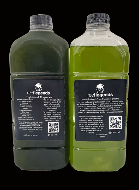 12 Species PhytoBlend & Rotifers