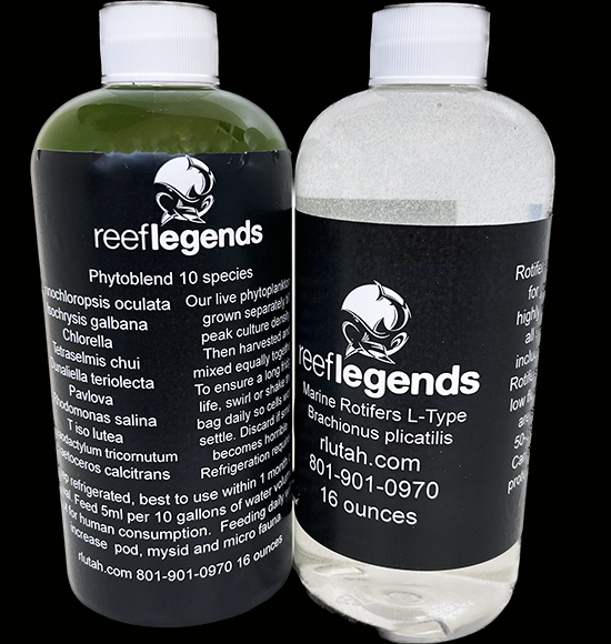 12 Species PhytoBlend & Rotifers