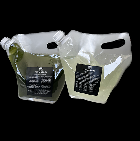 12 Species PhytoBlend & Rotifers