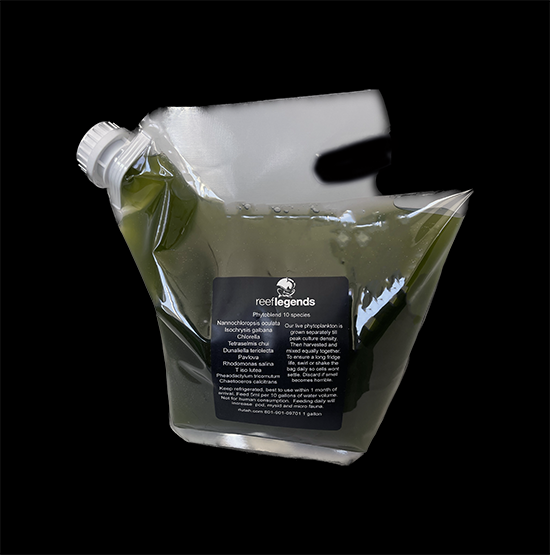 13 species PhytoBlend